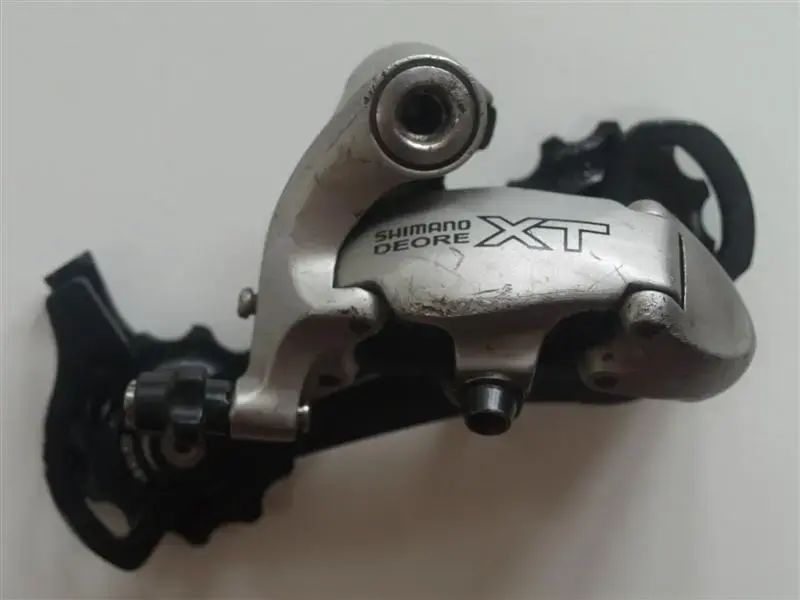 P8040236 (Medium).webp