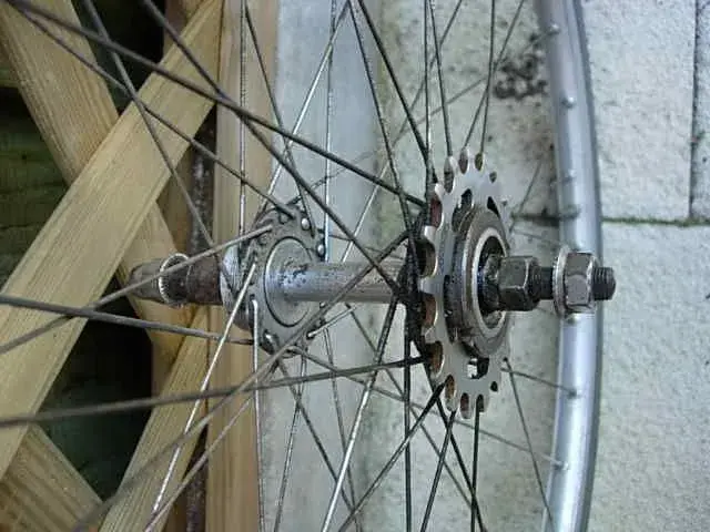 002.webp