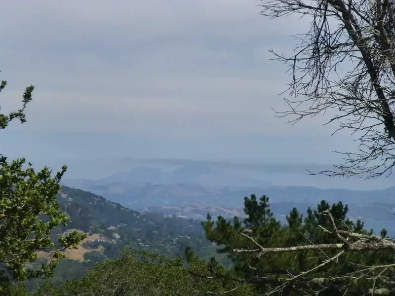 East from 900'.webp