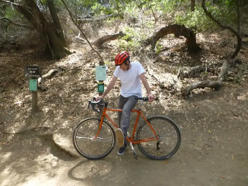 Crossbike and Van's.webp