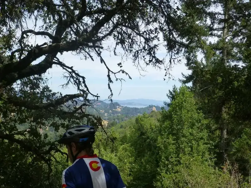 View spot.webp