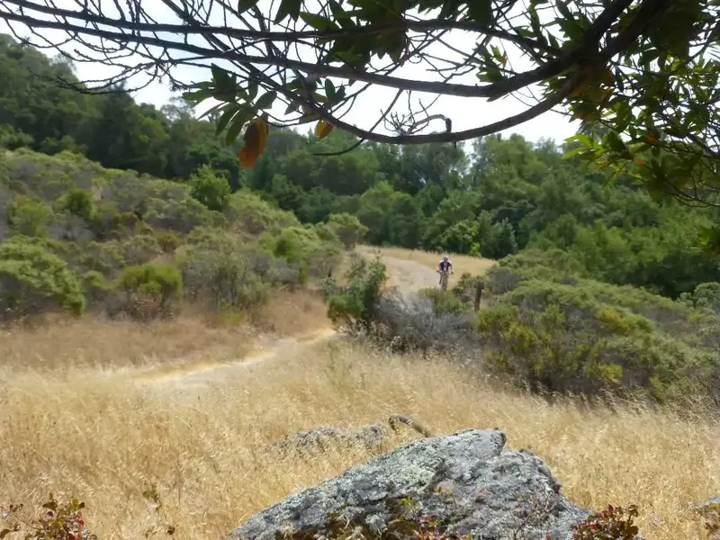 Dropping into Tamarancho.webp