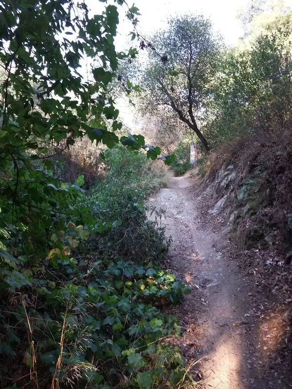 Ritchey p-21 Marshall Steep single track web.webp