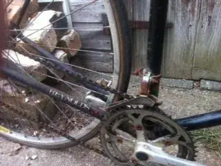 photo 2.webp