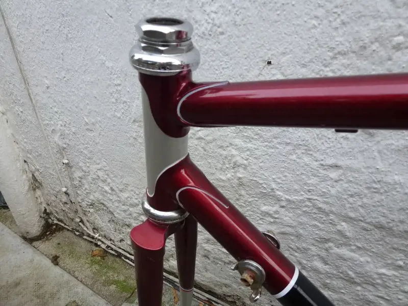 Headtube lugs resized.webp