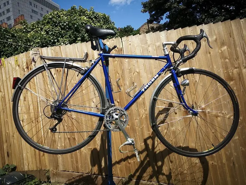 thorn audax.webp