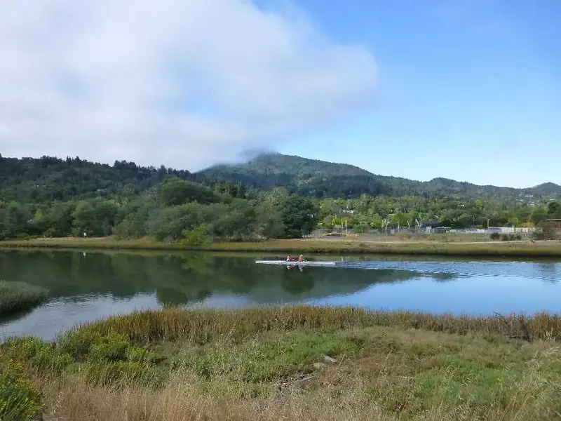 Rowing on Corte Madera Creek.webp