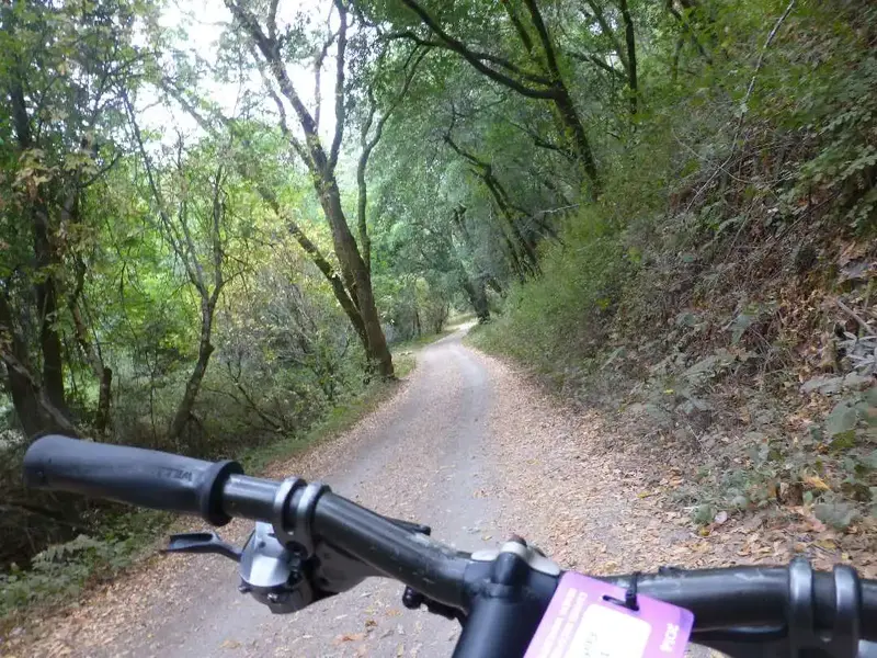Shaver Grade.webp