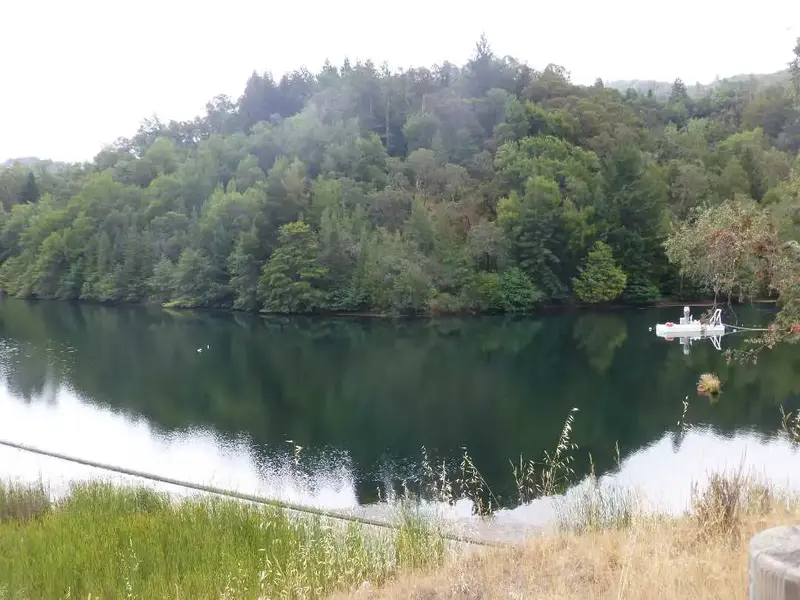 Pump Raft on the lake.webp