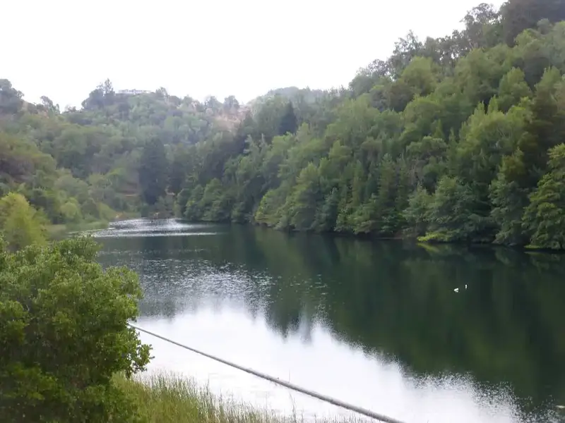 Phoenix Lake.webp