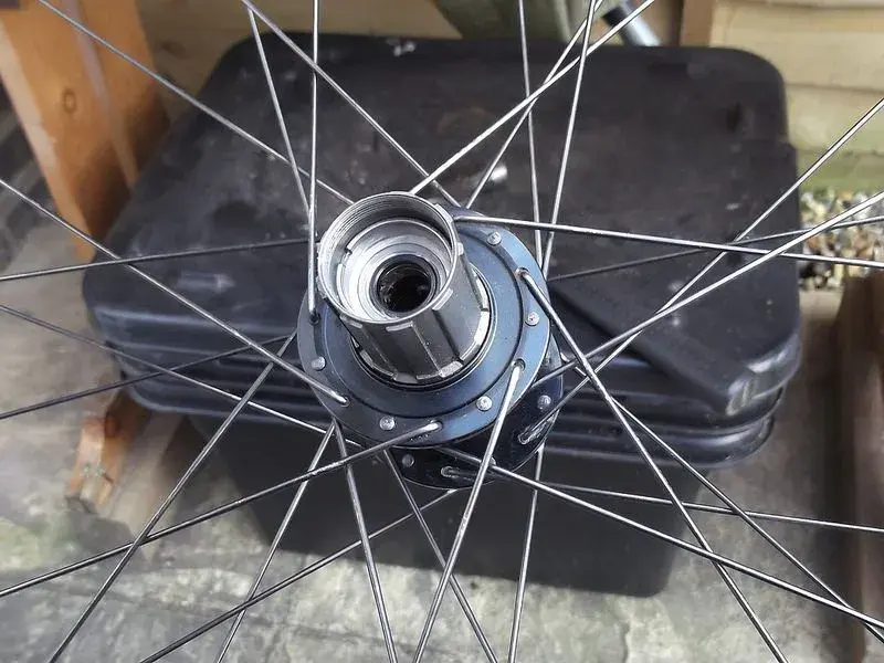29er freehub.webp