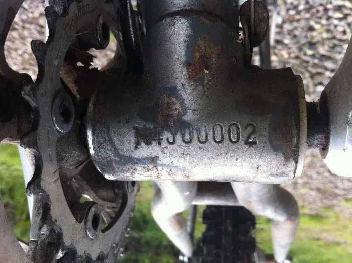 stumpy4.webp