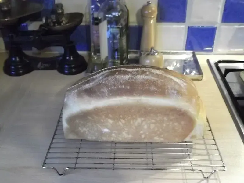 my daily bread.webp