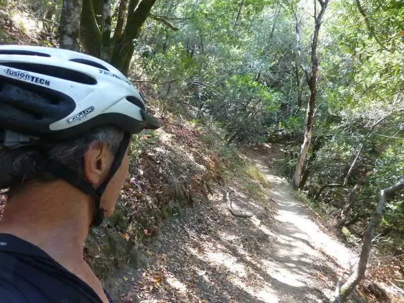 Today's Trail.webp