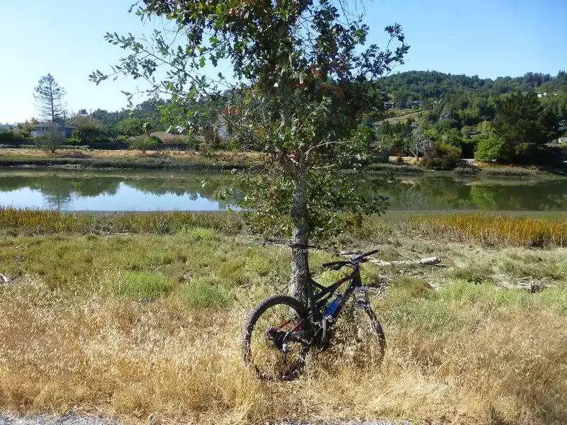 Corte Madera Creek.webp