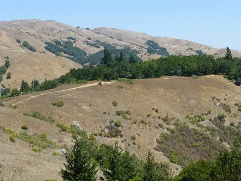 Descending the Ridge.webp