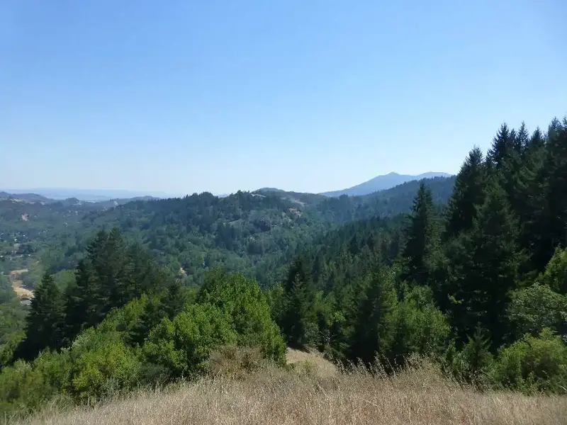 Tam in the distance.webp