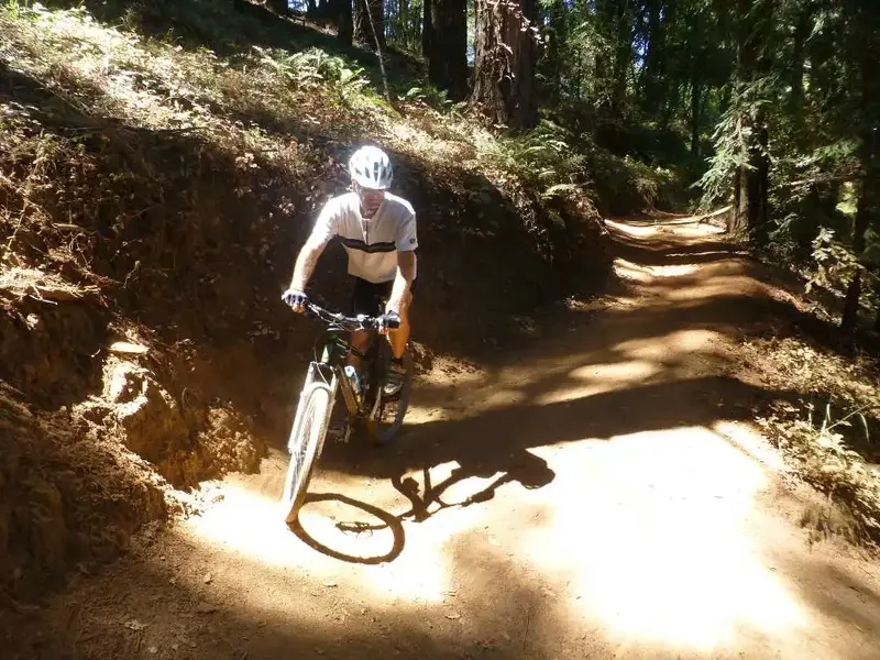 180 in Sherwood Forrest.webp