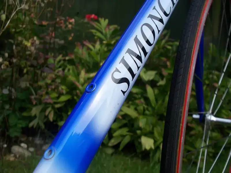 simon2.webp