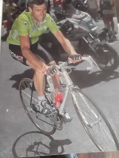 sean kelly tvt.webp