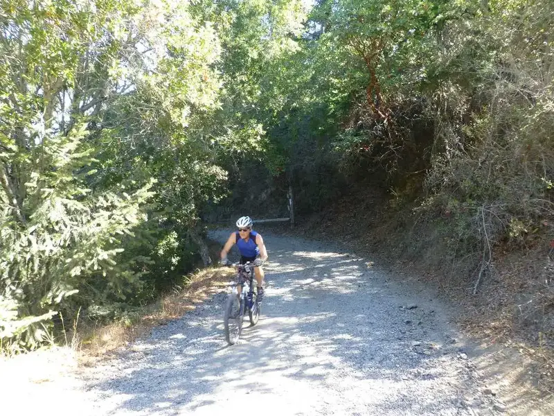 Top of the hill.webp
