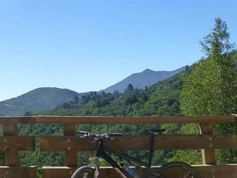 On the climb.webp