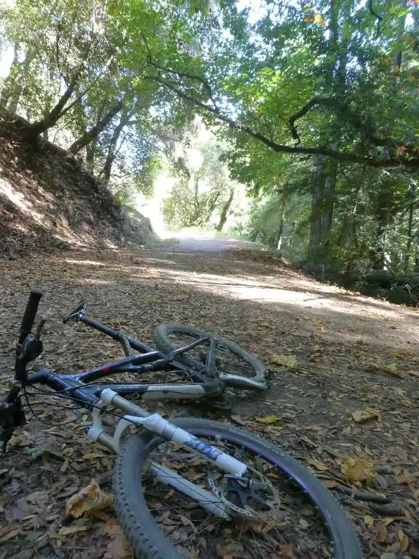 Concrete Pipe Fire road.webp