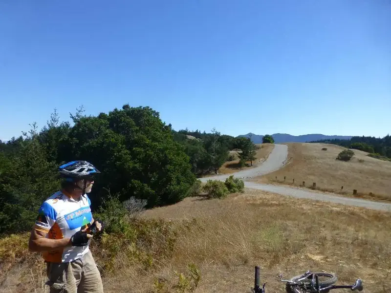 Tam in the Distance.webp