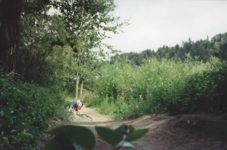 002.webp