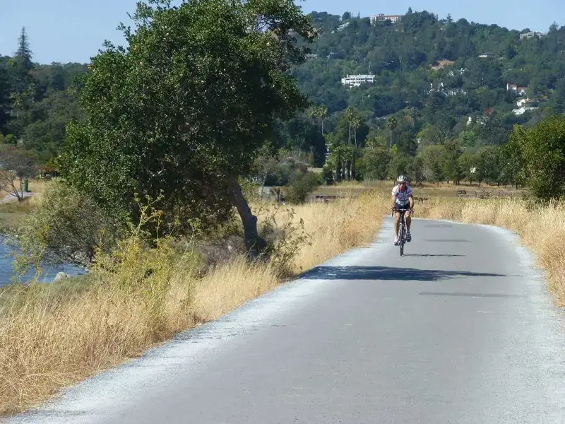 Bike Path.webp