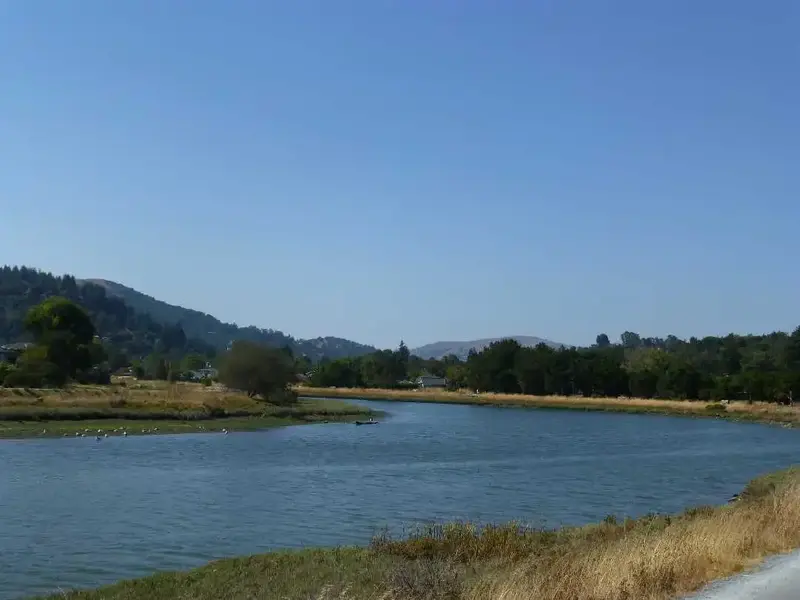 Corte Madera Creek.webp