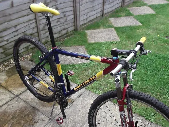 29er RIGHT SHIFTER !.webp