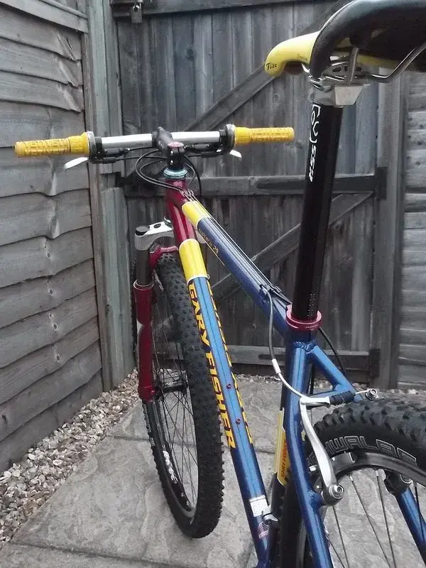 29er finished.webp