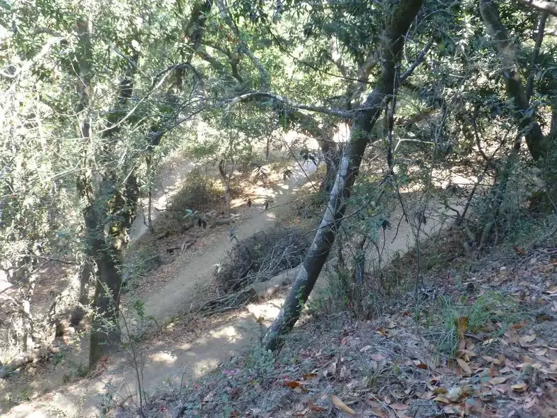 Switchbacks.webp
