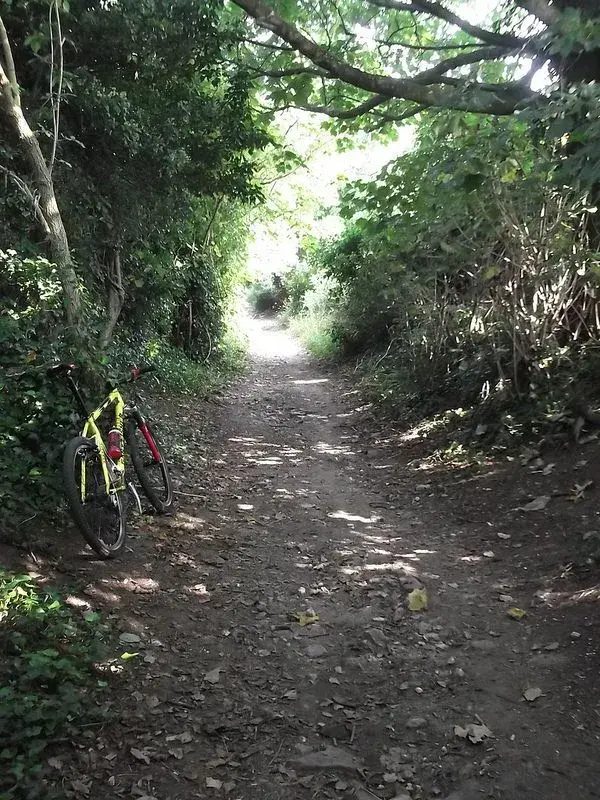 ride 7 sept.webp