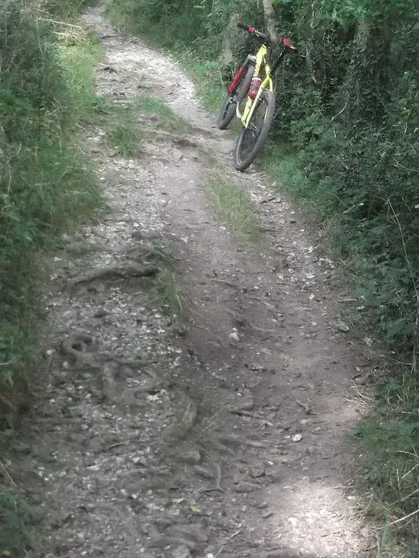 ride 7 sept 5.webp