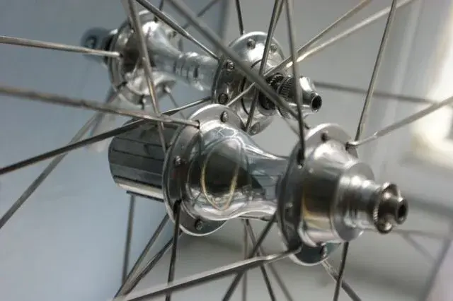 wheel7.webp