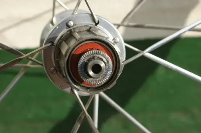 wheel8.webp