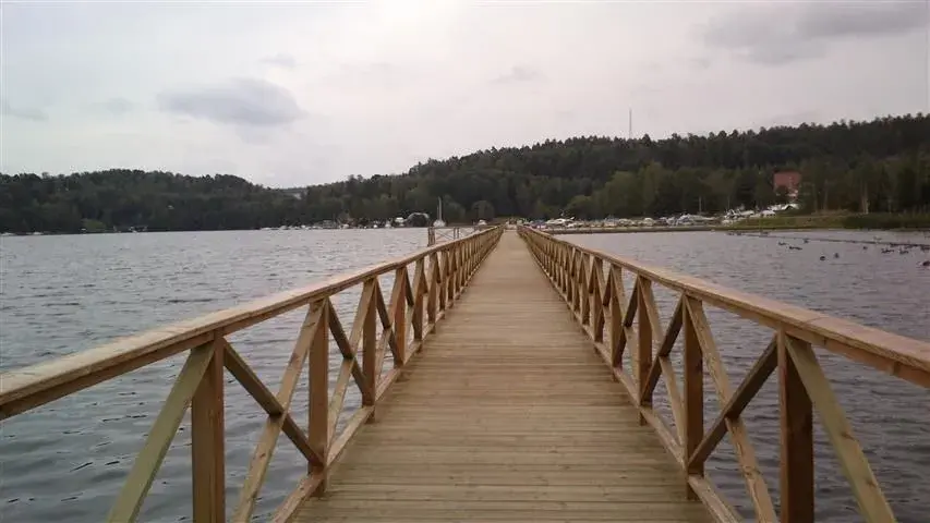 bridge.webp