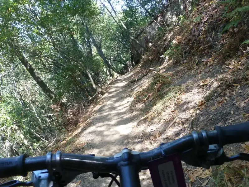 Steep hill.webp