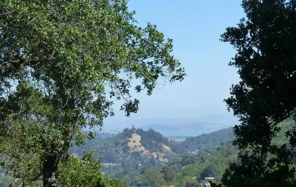 Red Hill.webp
