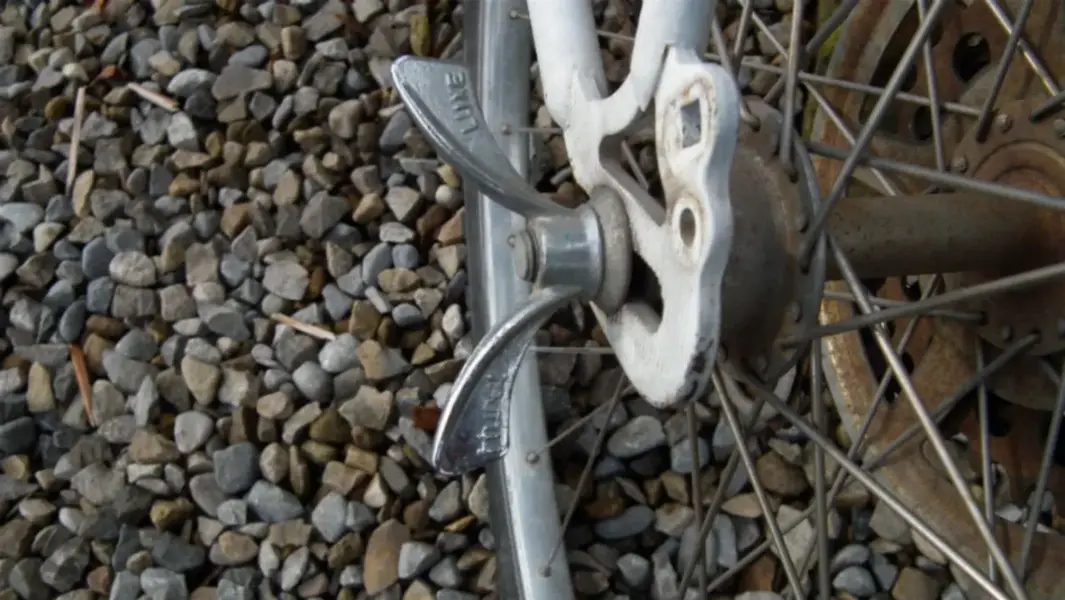 DSCF4740.webp