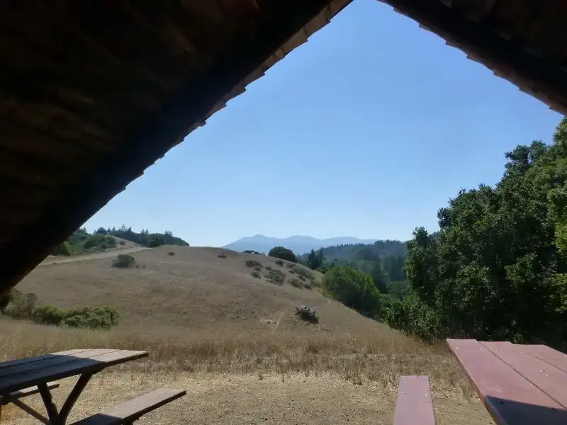View from the shade.webp