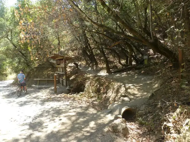 Alchemist Trailhead.webp