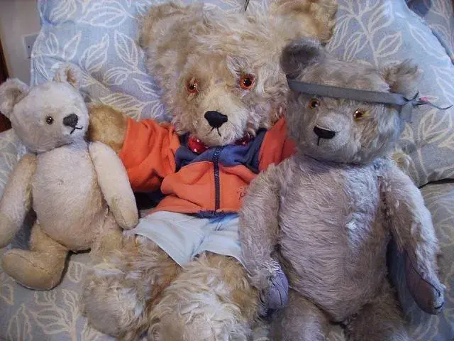 teddies.webp