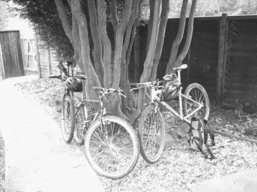 retro bike.webp