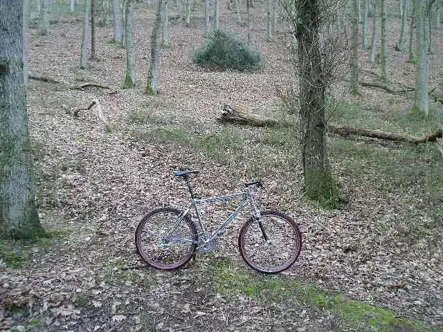 loved bikes GET RIDDEN WHEN IT'S NICE! 007.webp