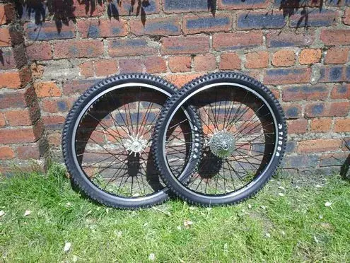 SPINERGYS.webp