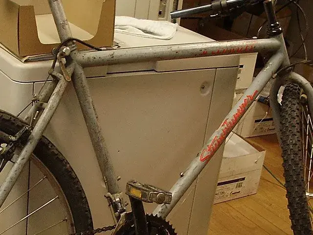 stumpi-unrestored.webp