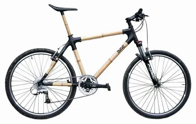 bamboobike.webp